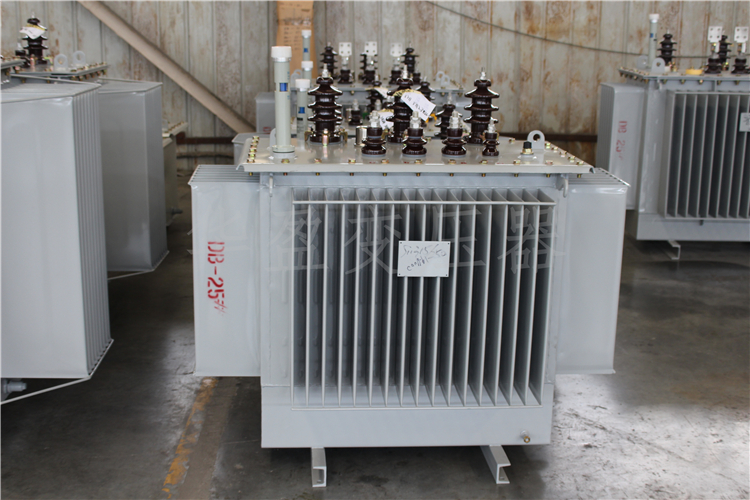 聊城S20-800kVA/10kV/0.4kV变压器